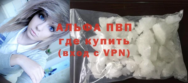 стаф Дмитриев