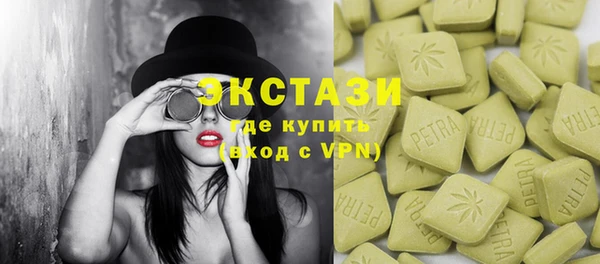 индика Дмитровск