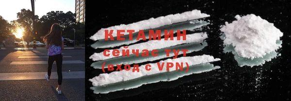 стаф Дмитриев