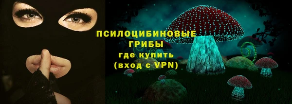 стаф Дмитриев