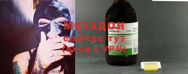индика Дмитровск