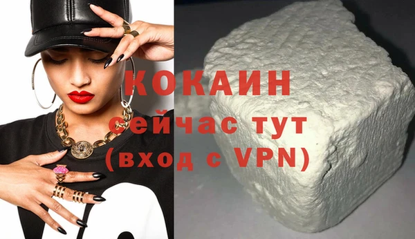 стаф Дмитриев