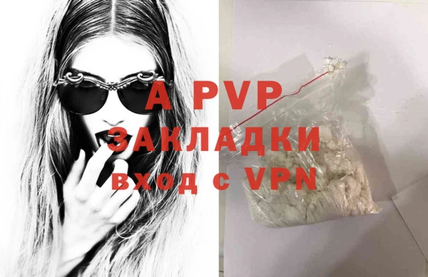 индика Дмитровск
