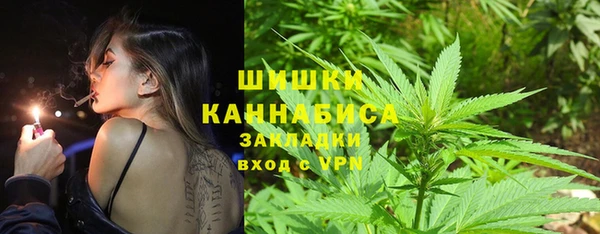 индика Дмитровск