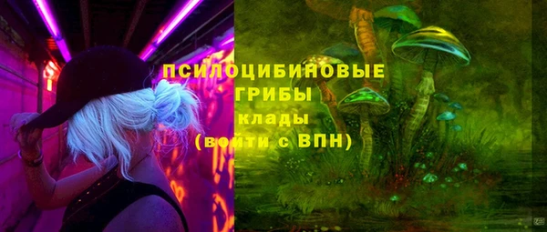 кокс Дмитров
