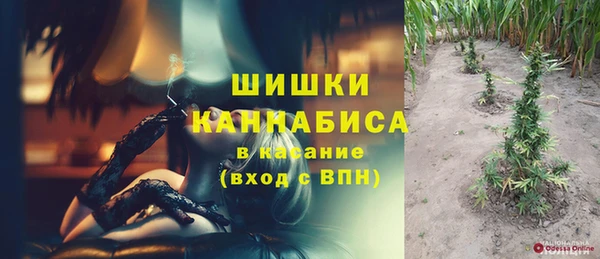 индика Дмитровск