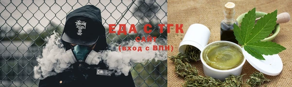 индика Дмитровск